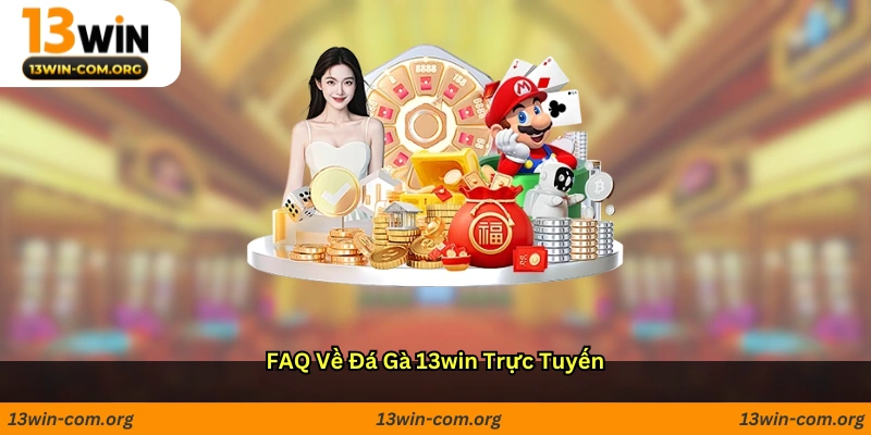 FAQ về đá gà 13win trực tuyến