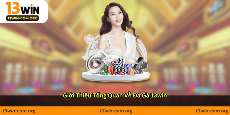 Giới thiệu tổng quan về đá gà 13win