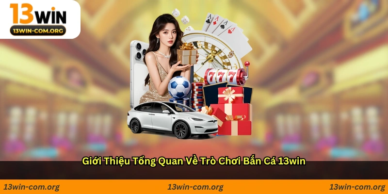 Giới thiệu tổng quan về trò chơi bắn cá 13win