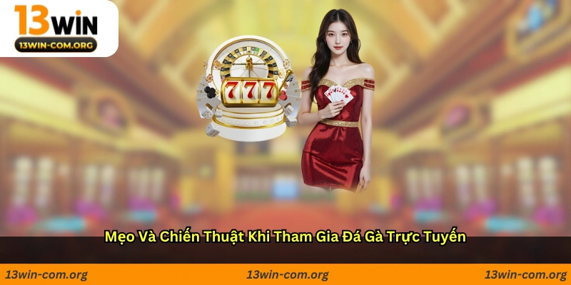 Mẹo và chiến thuật khi tham gia đá gà trực tuyến